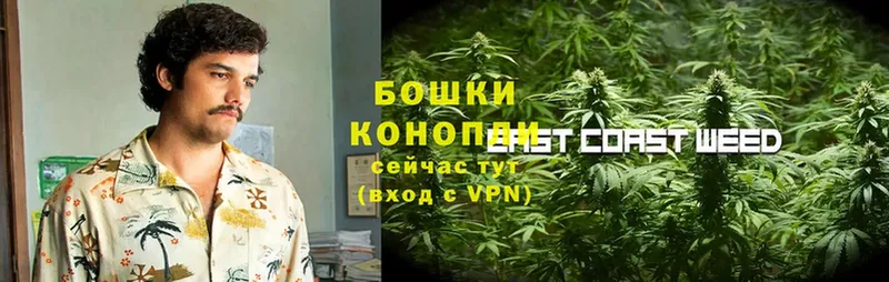 Конопля White Widow  blacksprut tor  Железноводск 